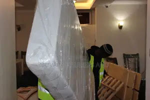 Professional Moving Services in Kisumu
