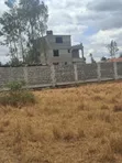 Ruiru Mugutha Wholesale Prime Land 100x125 Freehold Title - 1