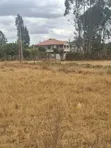 Ruiru Mugutha Wholesale Prime Land 100x125 Freehold Title - 2