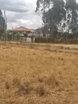 Ruiru Mugutha Wholesale Prime Land 100x125 Freehold Title - 3