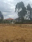 Ruiru Mugutha Wholesale Prime Land 100x125 Freehold Title - 4