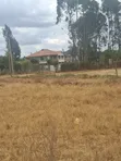 Ruiru Mugutha Wholesale Prime Land 100x125 Freehold Title - 5