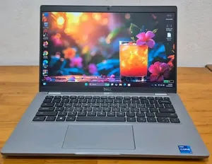 Dell Latitude 5420 Laptop - Core i7, 8GB RAM, 256GB SSD