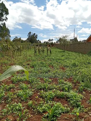 1/2 Acre Land for Sale - Limuru