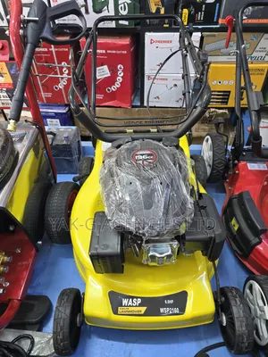 Wasp 6HP 196cc Lawnmower