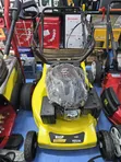 Wasp 6HP 196cc Lawnmower - 1