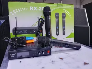 BNK RX20 Wireless Microphone System