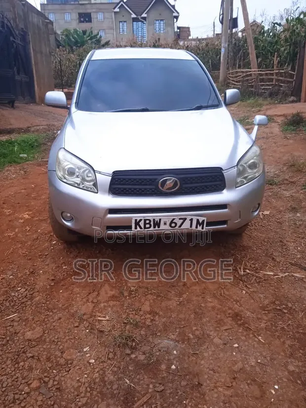 Toyota RAV4 2007 Silver - 1