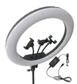 Ring Light ya Inchi 18 na Stand ya Tripod inayoweza Kupanuliwa (Hadi 2m) - 1