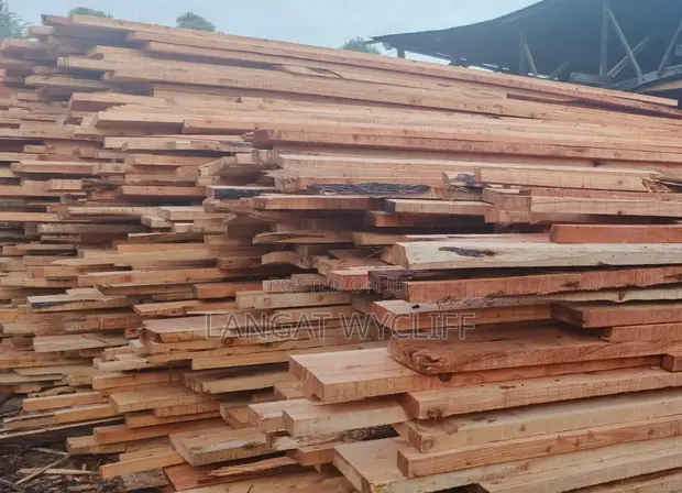 Well Shaped Wood Flooring Materials - 1
