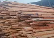 Well Shaped Wood Flooring Materials - 1