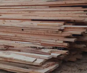 Well Shaped Wood Flooring Materials