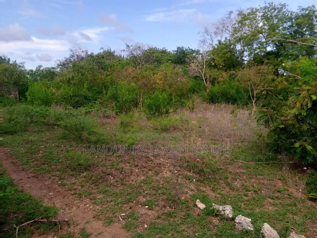 Diani Tiwi Beach Plot - 1/2 Acre Near Cottages - 1