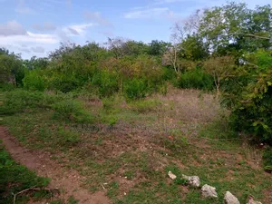 Kiwanja cha Pwani Diani Tiwi - 1/2 Eka Karibu na Cottages