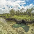Diani Tiwi Beach Plot - 1/2 Acre Near Cottages - 4