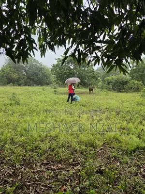 Vipande 15 vya Ardhi 50x100ft Vinauzwa Gede