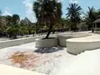 Kola Beach Resort kwa Uuzaji, Mambrui, Malindi - 2