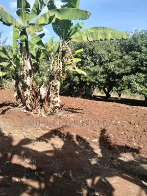 Half Acre Land for Sale in Makuyu-Ciumbu