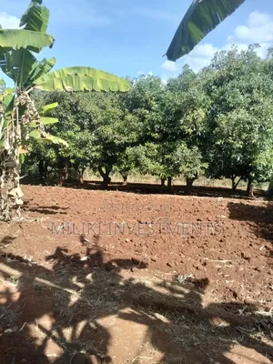 Nusu Eka Ardhi Inauzwa Makuyu-Ciumbu