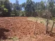 3/8 Eka Kiwanja Bora cha Kuuzwa - Kerarapon Drive - 3