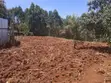 3/8 Eka Kiwanja Bora cha Kuuzwa - Kerarapon Drive - 4