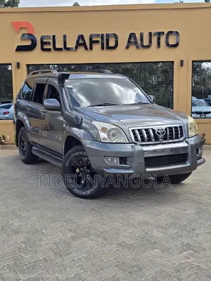 Toyota Land Cruiser Prado 3.0 D-4D 2006 Gray