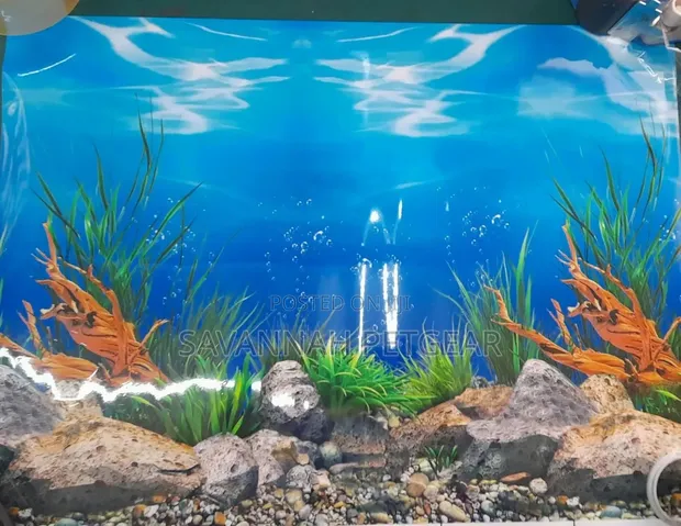 3D Aquarium Background - Pink Starfish Coral Reef - 1