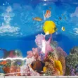 3D Aquarium Background - Pink Starfish Coral Reef - 2