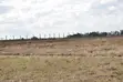 Ardhi Bora Inauzwa Kisaju - 1