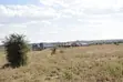 Ardhi Bora Inauzwa Kisaju - 5