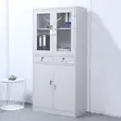 2-Door Metallic Cabinet with Shelves - 1