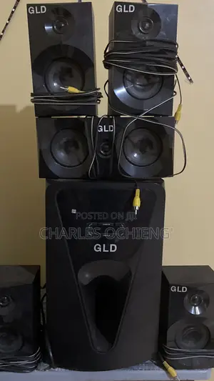 Woofer System 5.1 Channel Home Theater