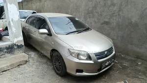 Toyota Axio 2007 Gold