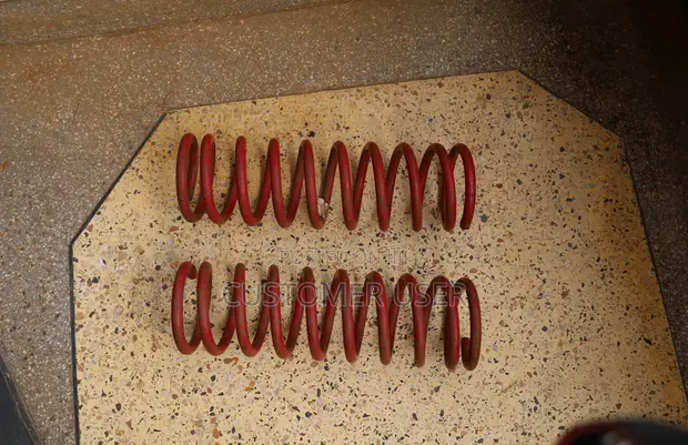 Subaru Forester SH5 Heavy Duty Rear Coil Springs - 1