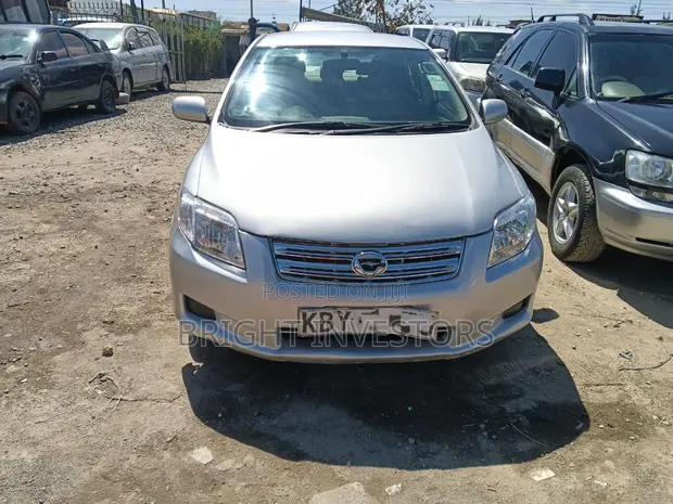 Toyota Axio 2007 Silver - 1