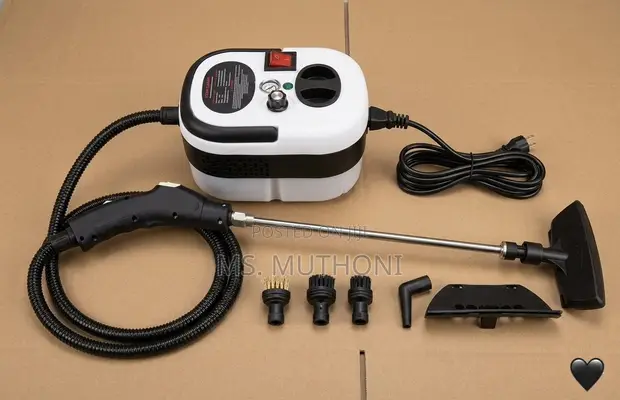 High Temperature Pressurized Steam Cleaner (2500W) - 1