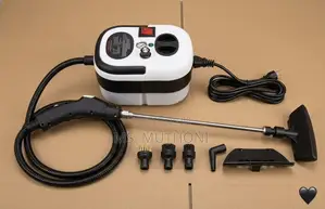 High Temperature Pressurized Steam Cleaner (2500W)