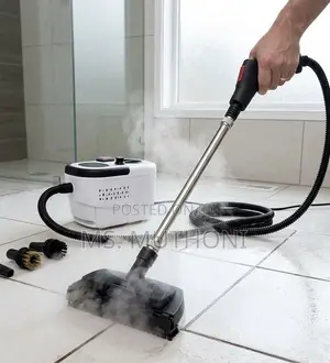 High Temperature Pressurized Steam Cleaner (2500W)