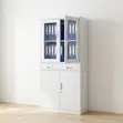 Kabati la Ofisi la Metal lenye Milango ya Kioo - 3