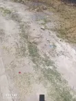 24 Acres Commercial Land for Sale, Karen Kerarapon Drive - 1