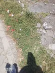 24 Acres Commercial Land for Sale, Karen Kerarapon Drive - 2