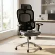 Mesh Advanced Ergonomic Chair - 1