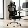 Mesh Advanced Ergonomic Chair - 2