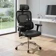 Mesh Advanced Ergonomic Chair - 4