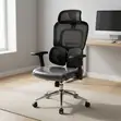 Mesh Advanced Ergonomic Chair - 5