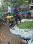 Portable 3-in-1 Petrol Silage Chopper - 1