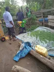 Portable 3-in-1 Petrol Silage Chopper - 3