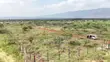 One Acre Land for Sale in Ngong, Kimuka - 5
