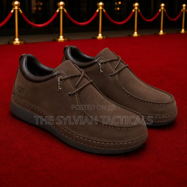 Unisex Cat Shoes - Brand New - 1