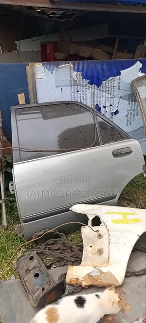 1987 Toyota Carina AT170 Doors & Parts